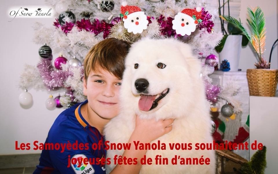 of Snow Yanola - Joyeuses fêtes à tous !!!