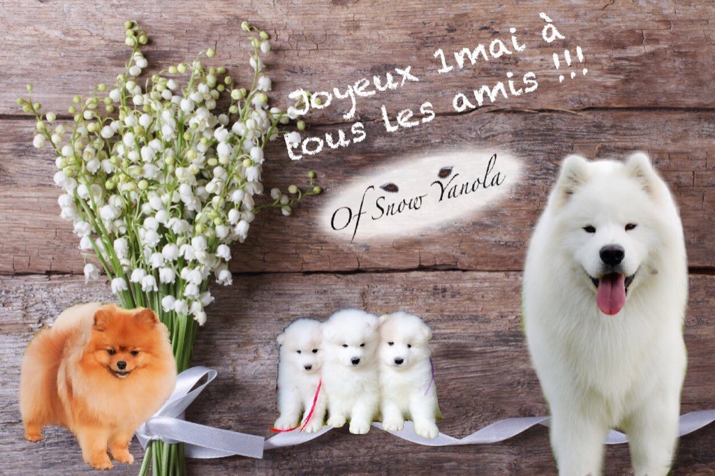 of Snow Yanola - JOYEUX 1er MAI ...