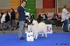  - PARIS DOG SHOW 07/01/2018