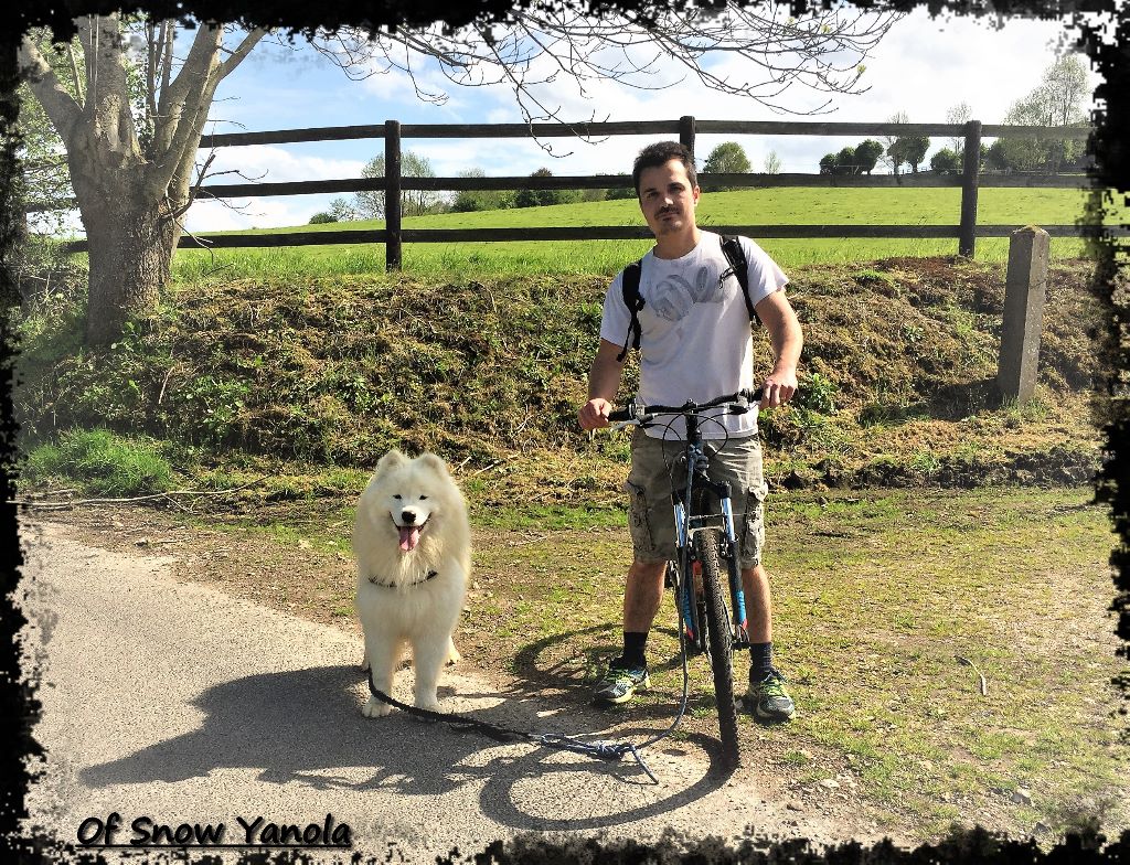 of Snow Yanola - Une agréable après-midi cani-vtt en famille...