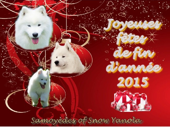 of Snow Yanola - Joyeuses fêtes de fin d'année 2015 !!!!