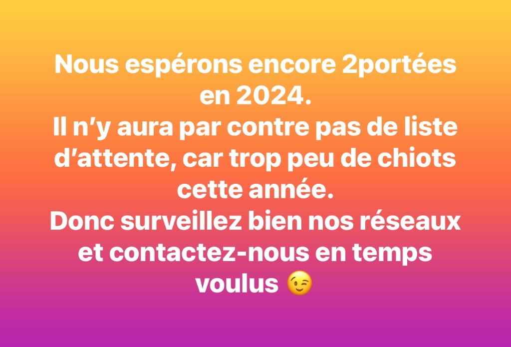 INFORMATIONS CHIOTS 2024